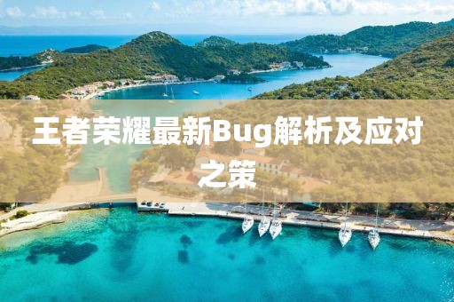 王者荣耀最新Bug解析及应对之策