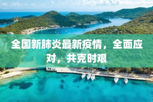 全国新肺炎最新疫情，全面应对，共克时艰