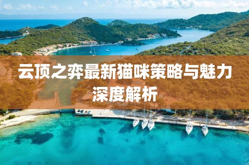 云顶之弈最新猫咪策略与魅力深度解析