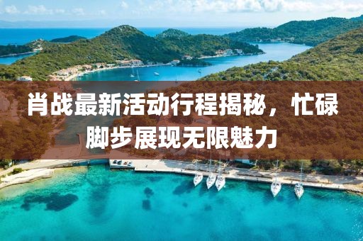 肖战最新活动行程揭秘，忙碌脚步展现无限魅力