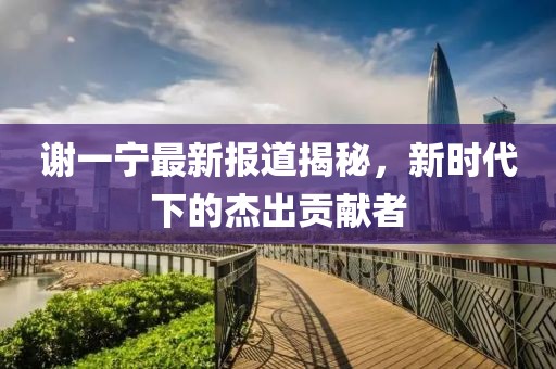 谢一宁最新报道揭秘，新时代下的杰出贡献者