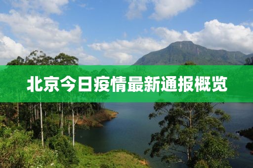 向日葵开始妩媚 第14页