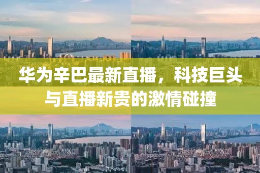 华为辛巴最新直播，科技巨头与直播新贵的激情碰撞