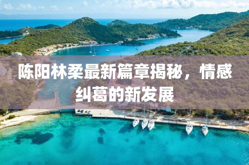 陈阳林柔最新篇章揭秘，情感纠葛的新发展