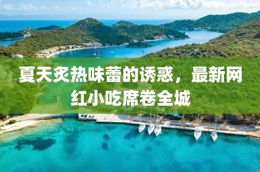 夏天炙热味蕾的诱惑，最新网红小吃席卷全城