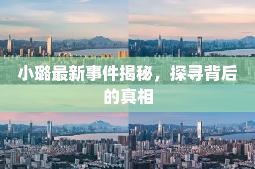 小璐最新事件揭秘，探寻背后的真相