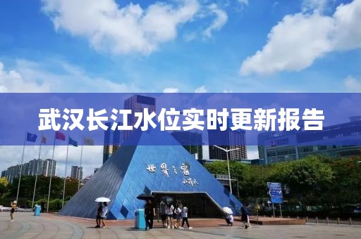 武汉长江水位实时更新报告