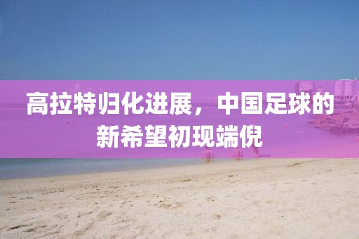 高拉特归化进展，中国足球的新希望初现端倪