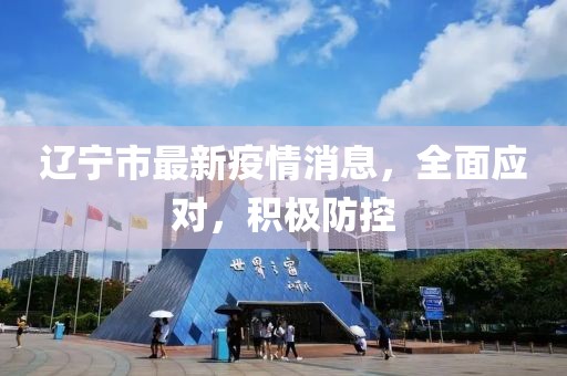 辽宁市最新疫情消息，全面应对，积极防控