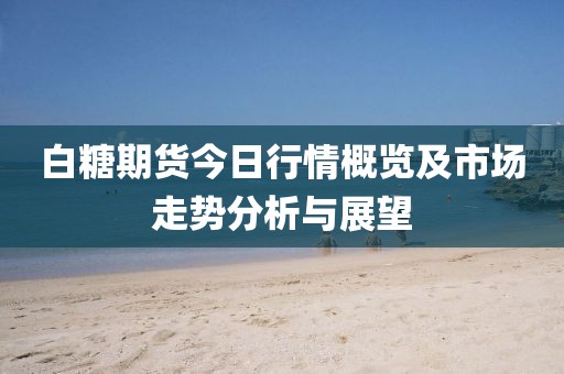 白糖期货今日行情概览及市场走势分析与展望