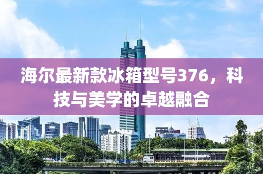 海尔最新款冰箱型号376，科技与美学的卓越融合