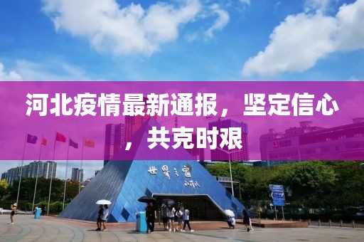 河北疫情最新通报，坚定信心，共克时艰