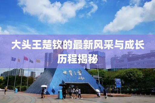 大头王楚钦的最新风采与成长历程揭秘