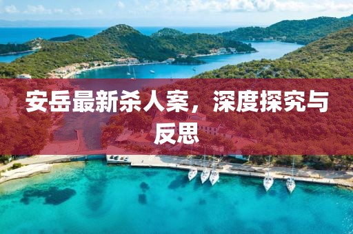 安岳最新杀人案，深度探究与反思