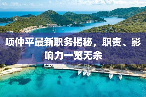 项仲平最新职务揭秘，职责、影响力一览无余