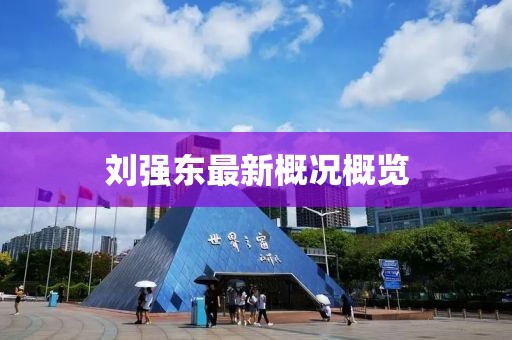 刘强东最新概况概览