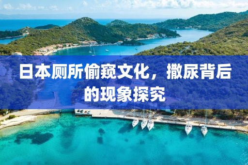 日本厕所偷窥文化，撒尿背后的现象探究