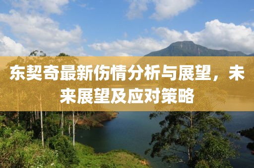 东契奇最新伤情分析与展望，未来展望及应对策略