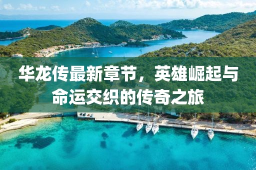 华龙传最新章节，英雄崛起与命运交织的传奇之旅