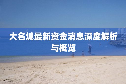 大名城最新资金消息深度解析与概览