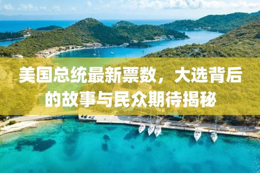 美国总统最新票数，大选背后的故事与民众期待揭秘