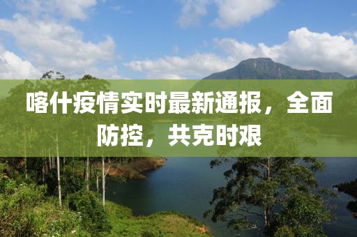 喀什疫情实时最新通报，全面防控，共克时艰