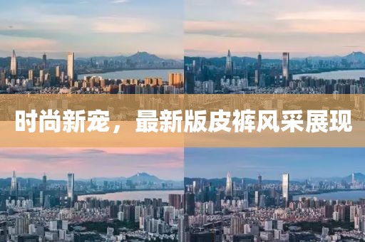 时尚新宠，最新版皮裤风采展现
