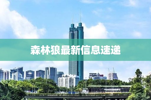 森林狼最新信息速递