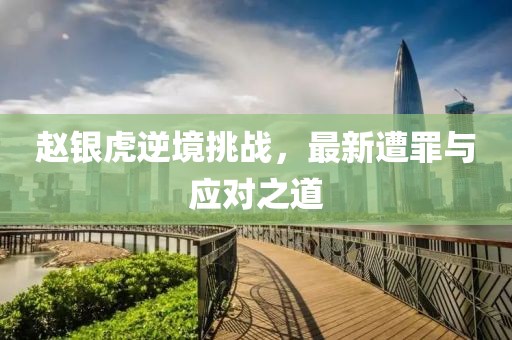 赵银虎逆境挑战，最新遭罪与应对之道