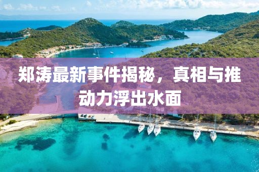 郑涛最新事件揭秘，真相与推动力浮出水面