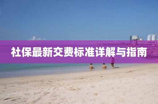 社保最新交费标准详解与指南