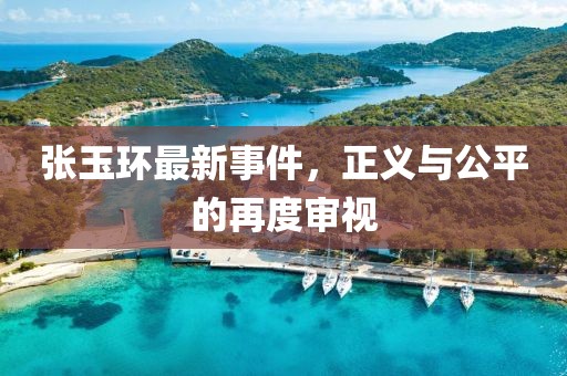 张玉环最新事件，正义与公平的再度审视