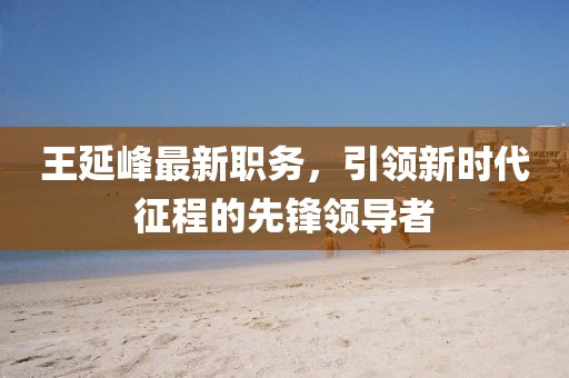 王延峰最新职务，引领新时代征程的先锋领导者