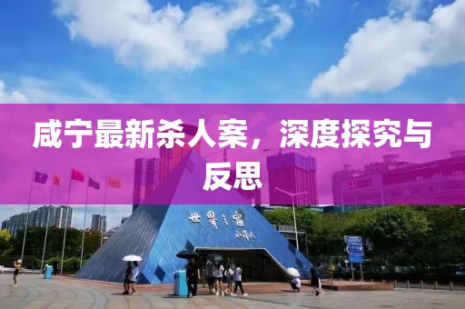 咸宁最新杀人案，深度探究与反思