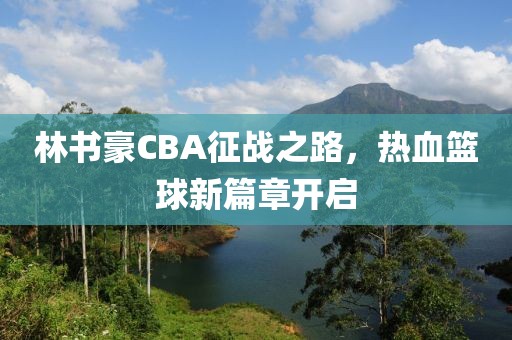 林书豪CBA征战之路，热血篮球新篇章开启