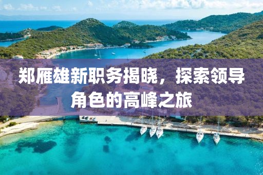 郑雁雄新职务揭晓，探索领导角色的高峰之旅