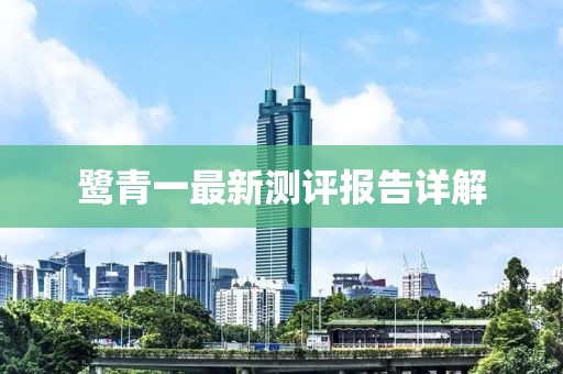 鹭青一最新测评报告详解