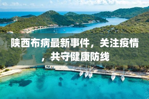陕西布病最新事件，关注疫情，共守健康防线
