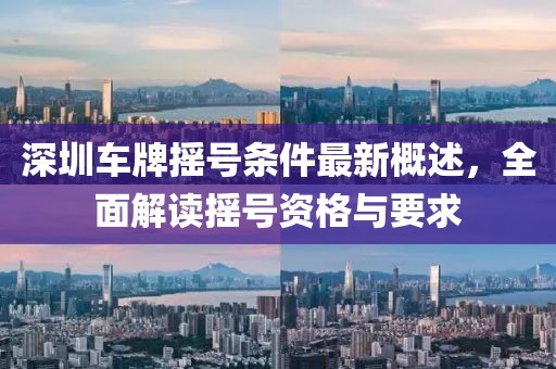 深圳车牌摇号条件最新概述，全面解读摇号资格与要求