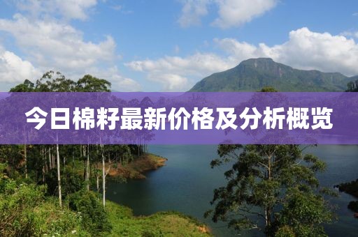 今日棉籽最新价格及分析概览