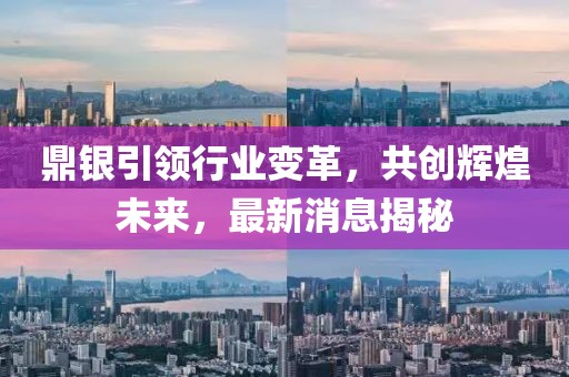 鼎银引领行业变革，共创辉煌未来，最新消息揭秘