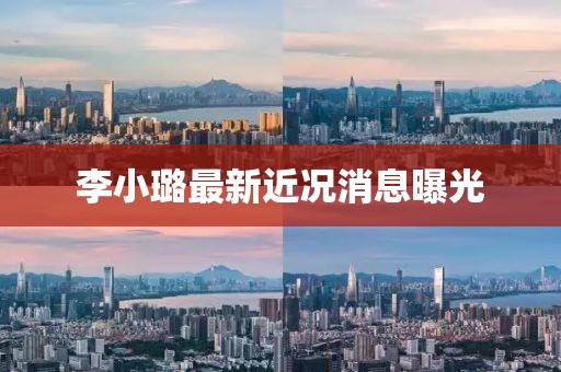 李小璐最新近况消息曝光