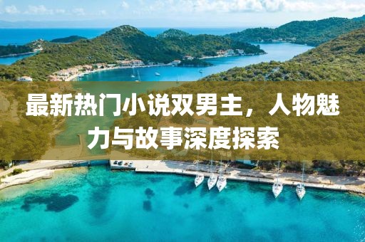 最新热门小说双男主，人物魅力与故事深度探索