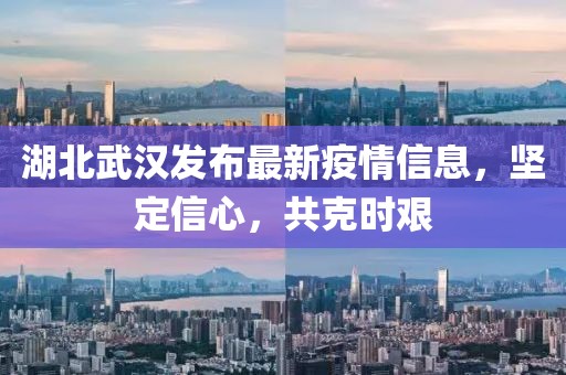 湖北武汉发布最新疫情信息，坚定信心，共克时艰