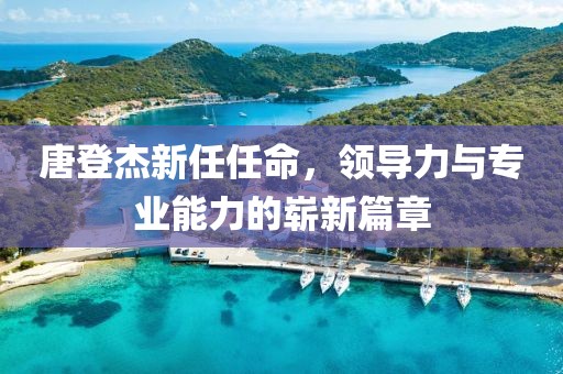 唐登杰新任任命，领导力与专业能力的崭新篇章