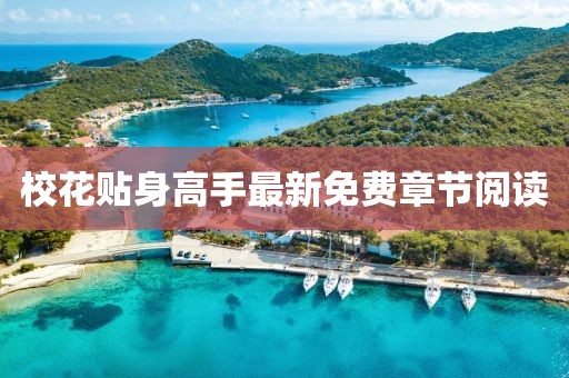 校花贴身高手最新免费章节阅读