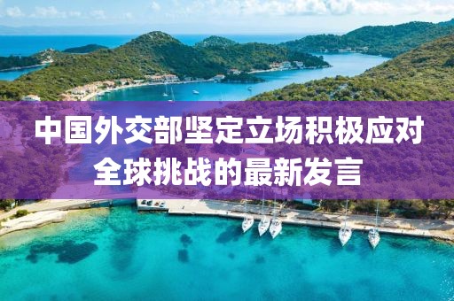 中国外交部坚定立场积极应对全球挑战的最新发言