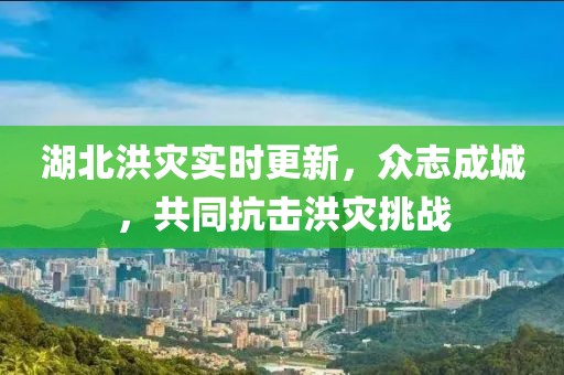 湖北洪灾实时更新，众志成城，共同抗击洪灾挑战