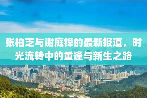 张柏芝与谢庭锋的最新报道，时光流转中的重逢与新生之路