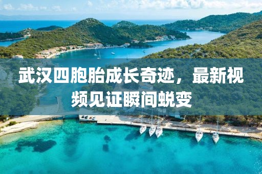 虚拟世界痛苦 第10页